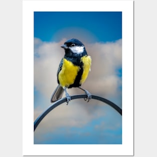 Great Tit Posters and Art